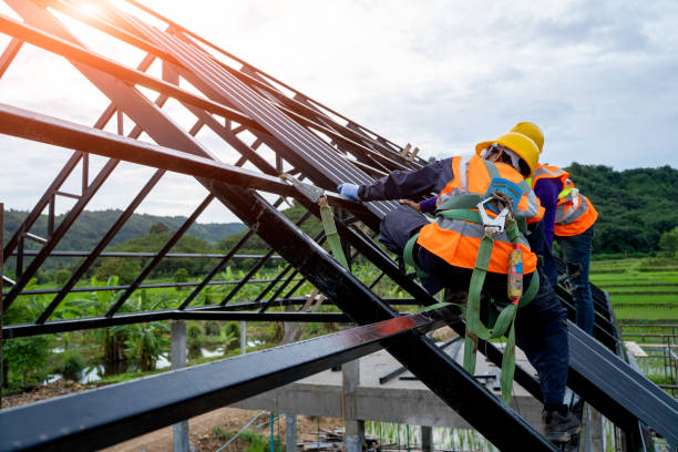 Best Storm Damage Roof Repair  in Lorain, OH