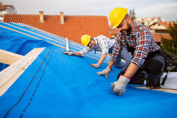 Best Storm Damage Roof Repair  in Lorain, OH